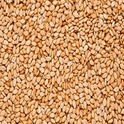 Golden Sesame Seeds
